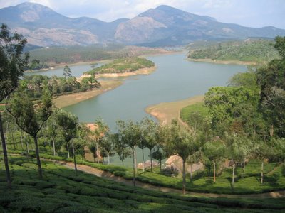 Munnar-4